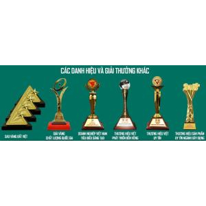 V. Danh hiệu và giải thưởng